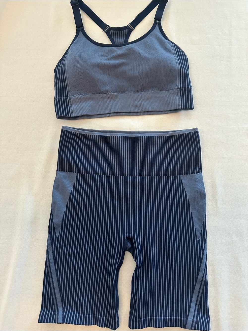 Striped Navy and Blue Active Set - Sports Bra + Biker Shorts Ryka Sz L